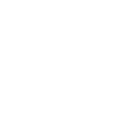 Financial Institutions