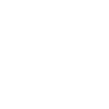 Government & Public Sector